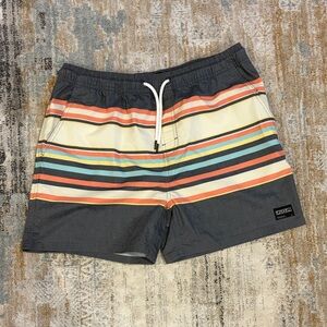 Ezekiel Men's Swim Trunks - Charcoal with Colorful Stripes
